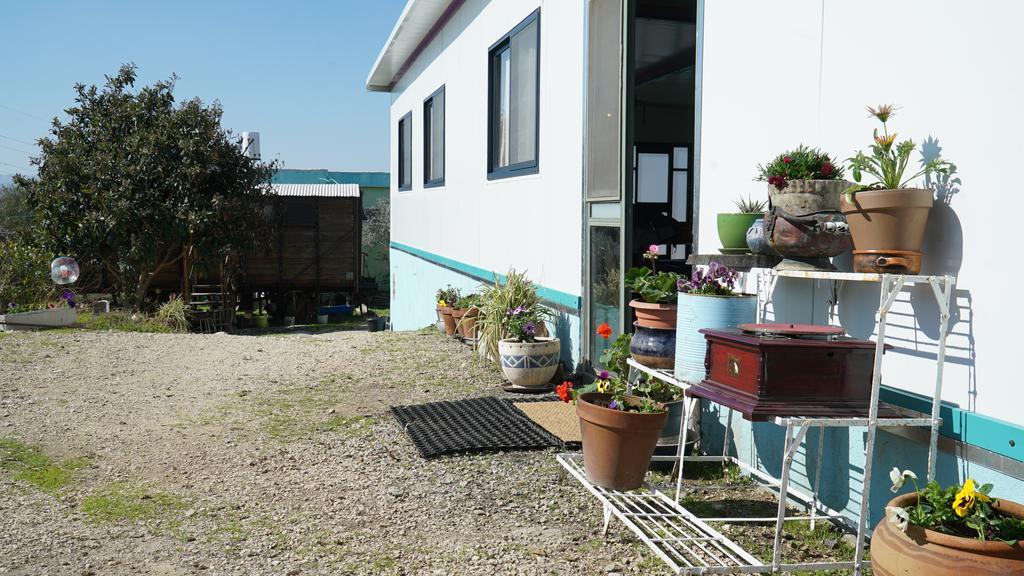 Galilee Bedouin Camplodge Tabash Exterior foto